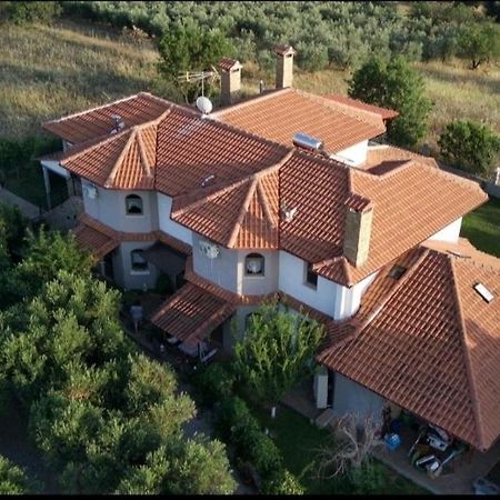Alice Wonderland Home Nea Flogita Halkidiki 외부 사진